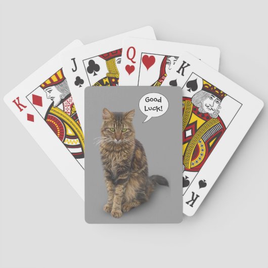 Katze Spielkarten (Rückseite)