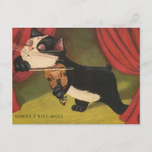 Katze spielt Sonet auf Violine von 1909 PC Postkarte