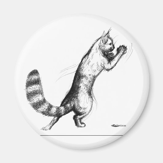 Katze Springing2 Magnet (Vorne)