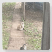 Katze Steinuntersetzer (Vorderseite)