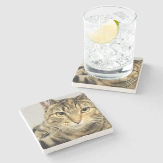 Katze Steinuntersetzer (Seitenansicht)