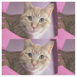 Katze Stoff