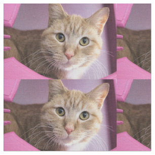 Katze Stoff
