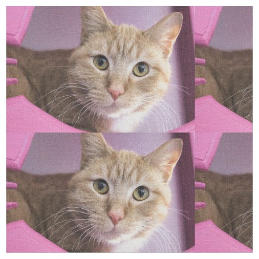 Katze Stoff (Nahaufnahme)