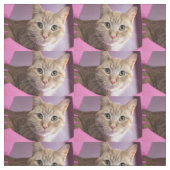 Katze Stoff (Muster)