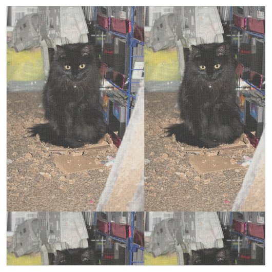 Katze Stoff (Nahaufnahme)