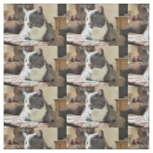 Katze Stoff (Muster)