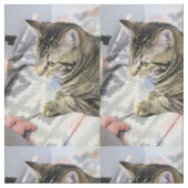 Katze Stoff (Nahaufnahme)