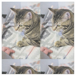 Katze Stoff