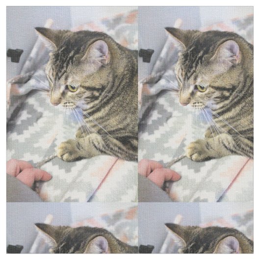 Katze Stoff (Nahaufnahme)