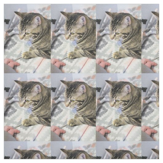 Katze Stoff (Muster)