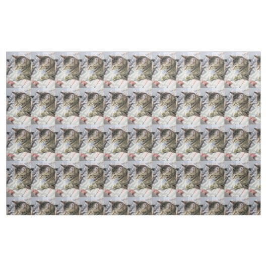 Katze Stoff (Fat Quarter (45,7 x 55,9 cm))