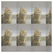 Katze Stoff (Muster)