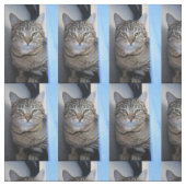 Katze Stoff (Muster)