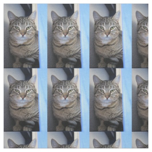 Katze Stoff (Muster)