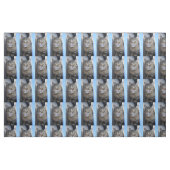 Katze Stoff (Fat Quarter (45,7 x 55,9 cm))