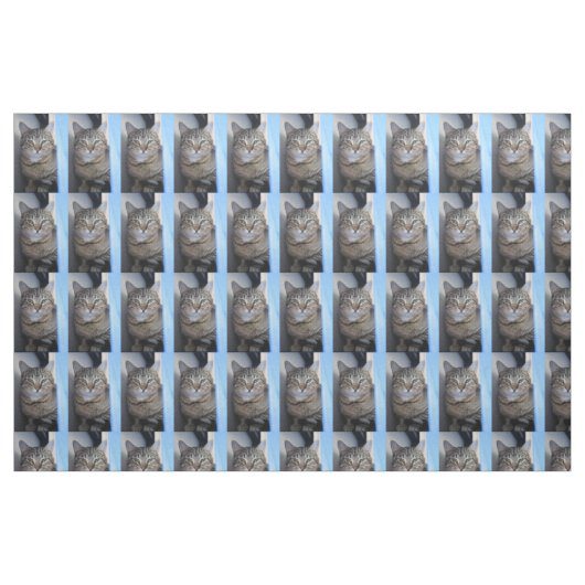 Katze Stoff (Fat Quarter (45,7 x 55,9 cm))