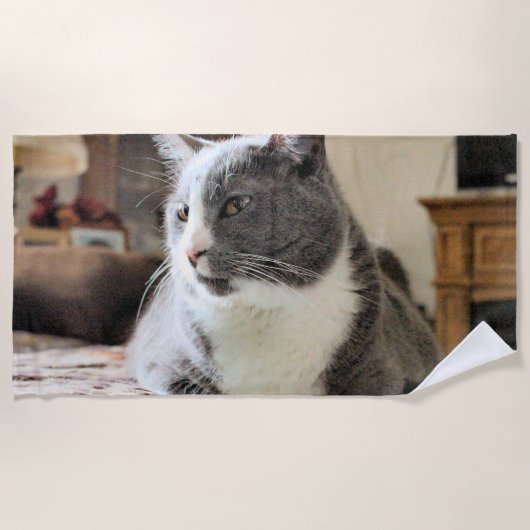 Katze Strandtuch (Vorderseite)