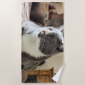 Katze Strandtuch (Vorderseite)