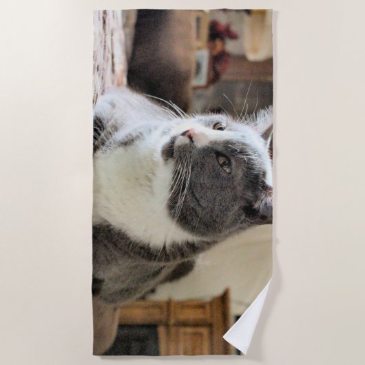 Katze Strandtuch (Vorderseite)