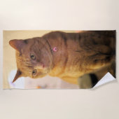 Katze Strandtuch (Vorderseite)