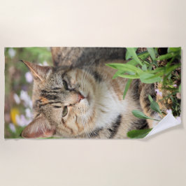 Katze Strandtuch