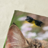 Katze Strandtuch (Beispiel)