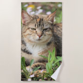 Katze Strandtuch (Vorderseite)