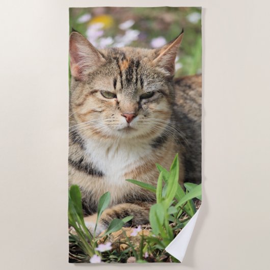Katze Strandtuch (Vorderseite)