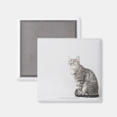 Katze sucht nach oben magnet (Vorderseite/Rückseite)