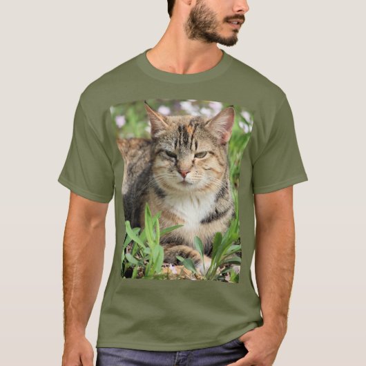 Katze T-Shirt (Vorderseite)
