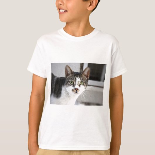 Katze T-Shirt (Vorderseite)