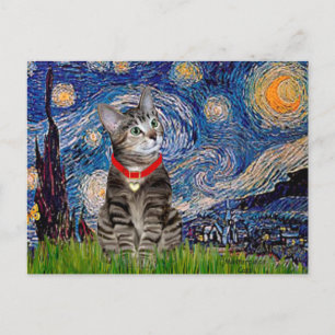 KATZE (Tabby2) - Sternennacht Postkarte