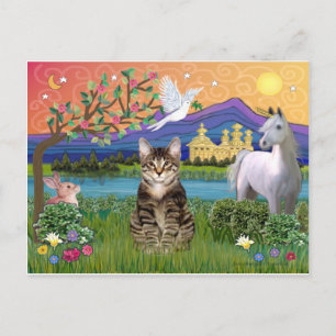 Katze -(Tabby) - Fantasieland Postkarte