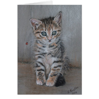 Katze, Tabby Kätzchen, nur posieren, schöne Kunst.