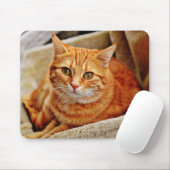 Katze, Tabby, Natur Mousepad (Mit Mouse)