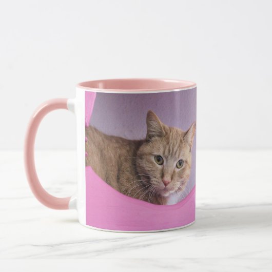 Katze Tasse (Links)