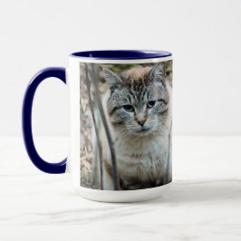 Katze Tasse