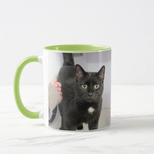 Katze Tasse (Links)