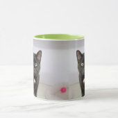 Katze Tasse (Zentrum)