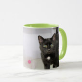 Katze Tasse (VorderseiteRechts)