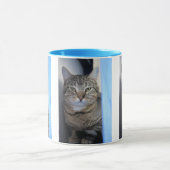 Katze Tasse (Zentrum)