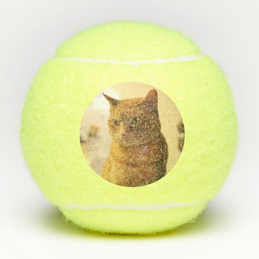 Katze Tennisbälle (Vorderseite)