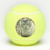Katze Tennisbälle (Rückseite)