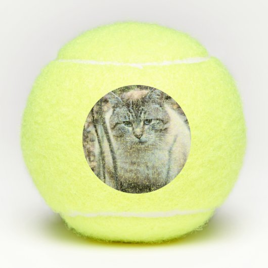 Katze Tennisbälle (Vorderseite)