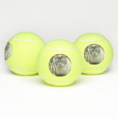 Katze Tennisbälle (Multi)