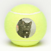 Katze Tennisbälle (Rückseite)