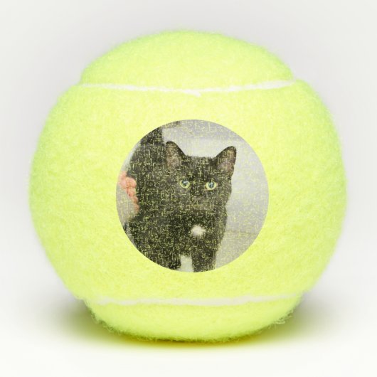 Katze Tennisbälle (Vorderseite)
