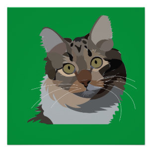 Katze Tier Haustier Katzenliebhaber Poster