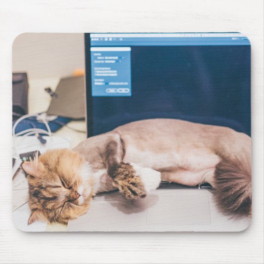 Katze, Tier, Haustiere Mousepad (Vorne)